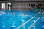 flipper_vs_molfetta_28.jpg