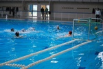 flipper_vs_molfetta_29.jpg