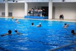 flipper_vs_molfetta_34.jpg