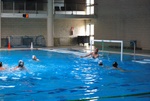 flipper_vs_molfetta_36.jpg