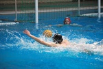 flipper_vs_molfetta_42.jpg
