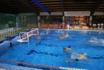 molfetta_vs_flipper09.jpg