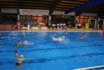 molfetta_vs_flipper11.jpg