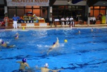 molfetta_vs_flipper13.jpg