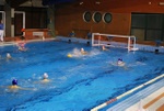 molfetta_vs_flipper14.jpg