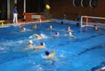 molfetta_vs_flipper16.jpg