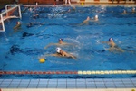 molfetta_vs_flipper21.jpg