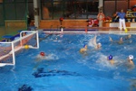 molfetta_vs_flipper27.jpg