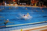 molfetta_vs_flipper29.jpg