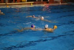 molfetta_vs_flipper32.jpg