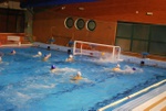 molfetta_vs_flipper34.jpg