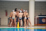 flipper_conversano_05.jpg