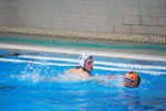 flipper_conversano_07.jpg