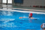 flipper_conversano_10.jpg