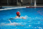 flipper_conversano_101.jpg