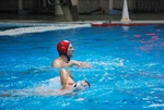 flipper_conversano_102.jpg
