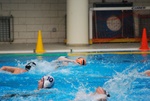 flipper_conversano_103.jpg