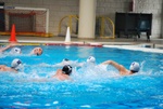 flipper_conversano_104.jpg