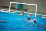 flipper_conversano_105.jpg