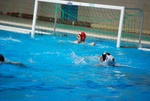 flipper_conversano_106.jpg