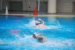 flipper_conversano_108.jpg