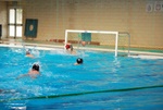 flipper_conversano_110.jpg