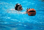 flipper_conversano_113.jpg
