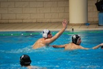 flipper_conversano_114.jpg