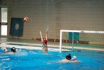 flipper_conversano_116.jpg