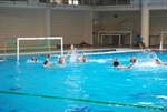 flipper_conversano_117.jpg