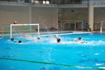 flipper_conversano_118.jpg