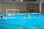 flipper_conversano_119.jpg