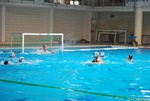 flipper_conversano_120.jpg