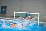 flipper_conversano_17.jpg