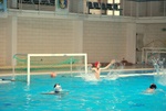 flipper_conversano_19.jpg