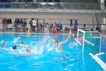 flipper_conversano_21.jpg