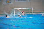 flipper_conversano_26.jpg