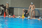 flipper_conversano_27.jpg