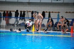 flipper_conversano_28.jpg