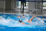 flipper_conversano_32.jpg