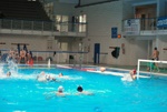 flipper_conversano_33.jpg