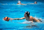 flipper_conversano_34.jpg