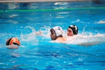 flipper_conversano_37.jpg