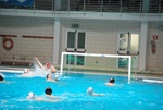 flipper_conversano_38.jpg