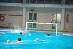 flipper_conversano_39.jpg