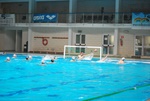 flipper_conversano_41.jpg