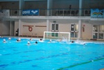 flipper_conversano_42.jpg