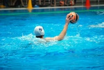 flipper_conversano_43.jpg