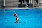 flipper_conversano_44.jpg