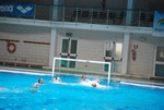 flipper_conversano_45.jpg